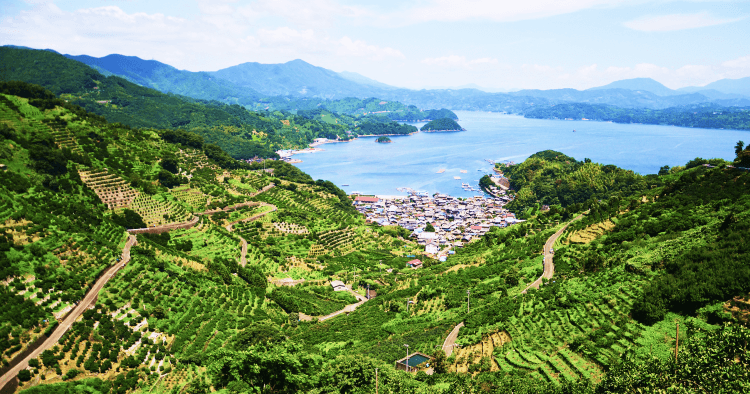 西予市