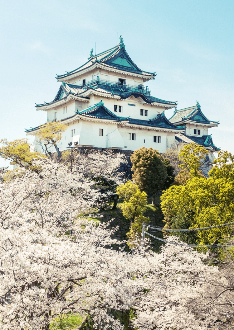和歌山市の風景